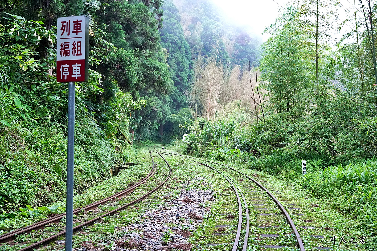 嘉義阿里山景點,多林火車站