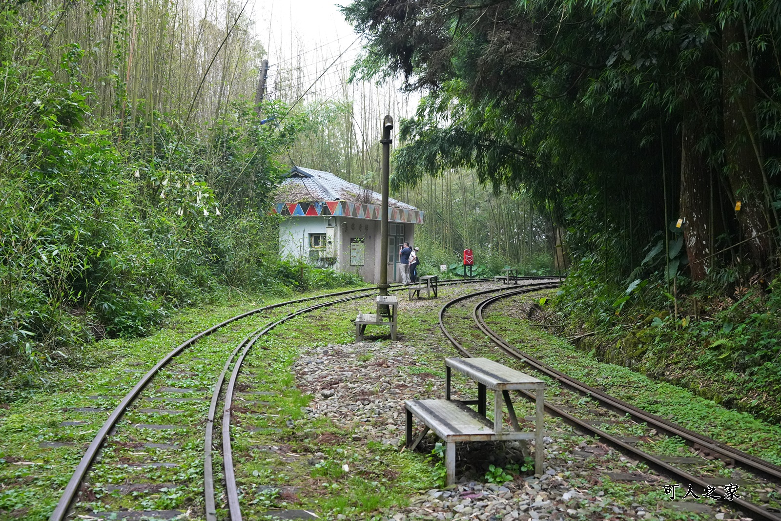 嘉義阿里山景點,多林火車站