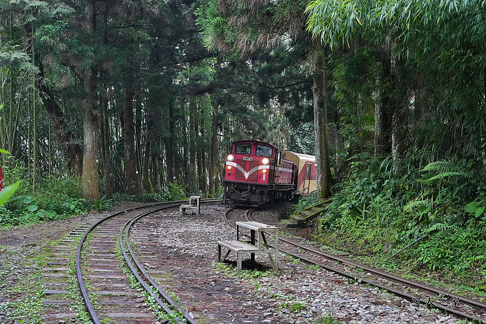 嘉義阿里山景點,多林火車站