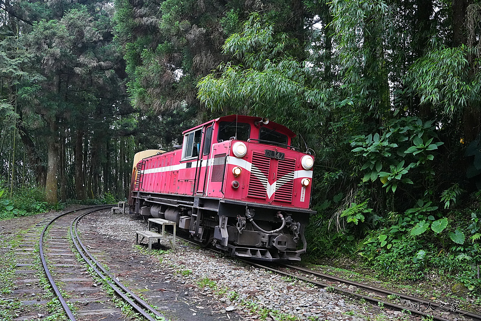 嘉義阿里山景點,多林火車站