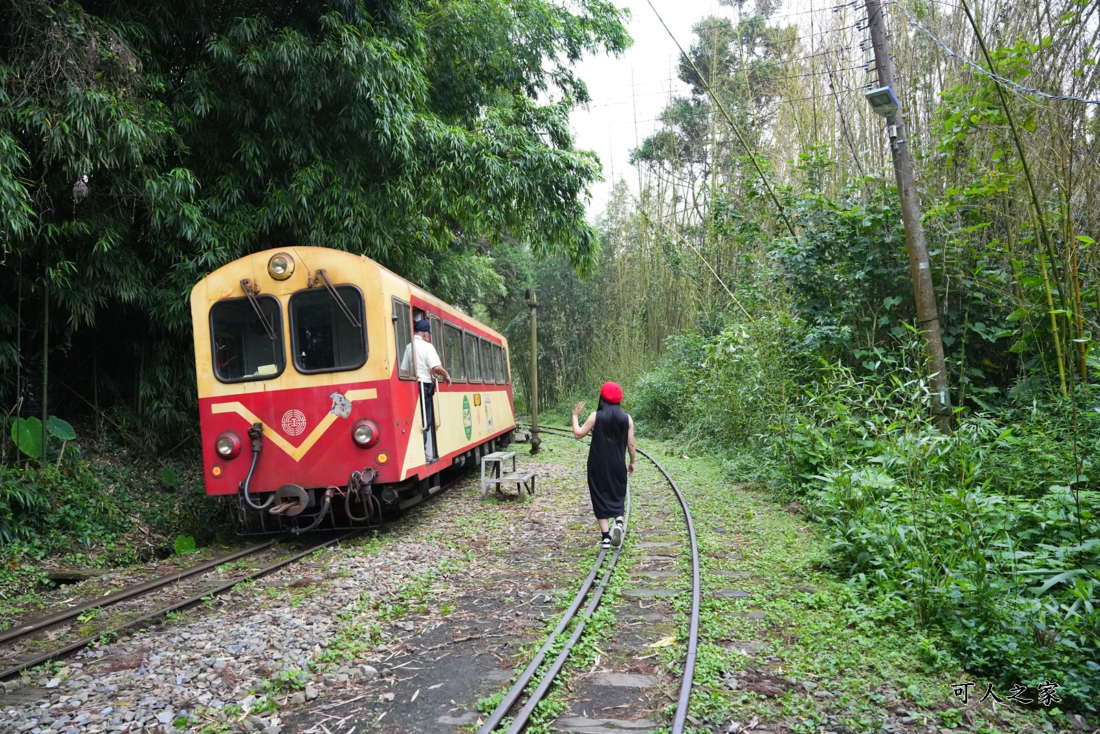 嘉義阿里山景點,多林火車站