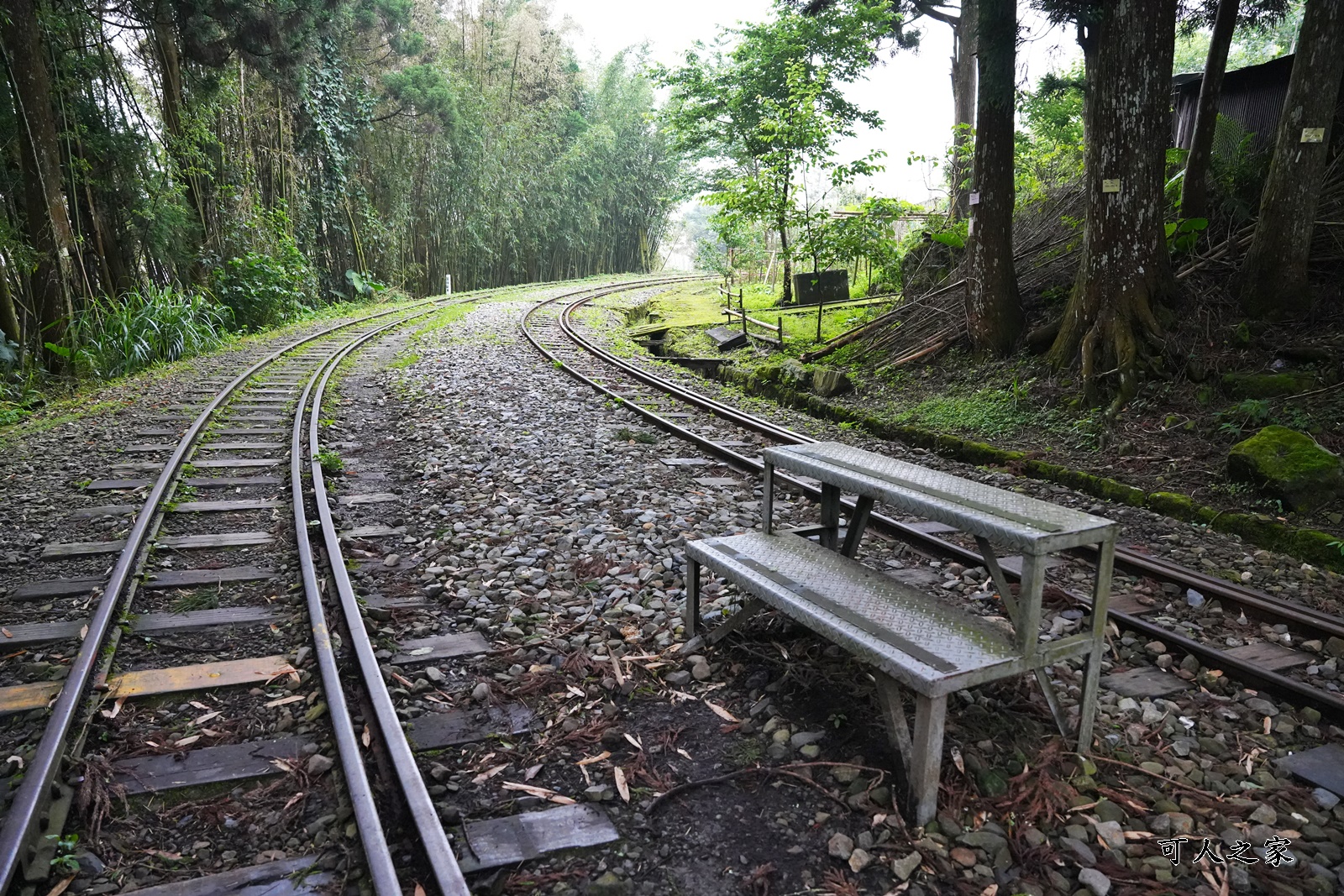 嘉義阿里山景點,多林火車站