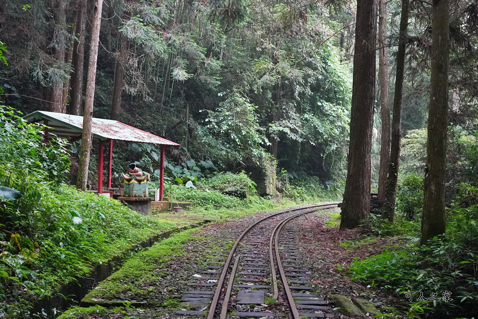 嘉義阿里山景點,多林火車站