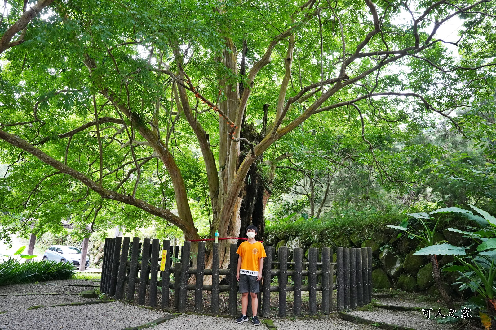 九芎公廟,九芎神木,免費吃泡麵,嘉南雲峰登山口,石壁風景區,雲林景點吃泡麵