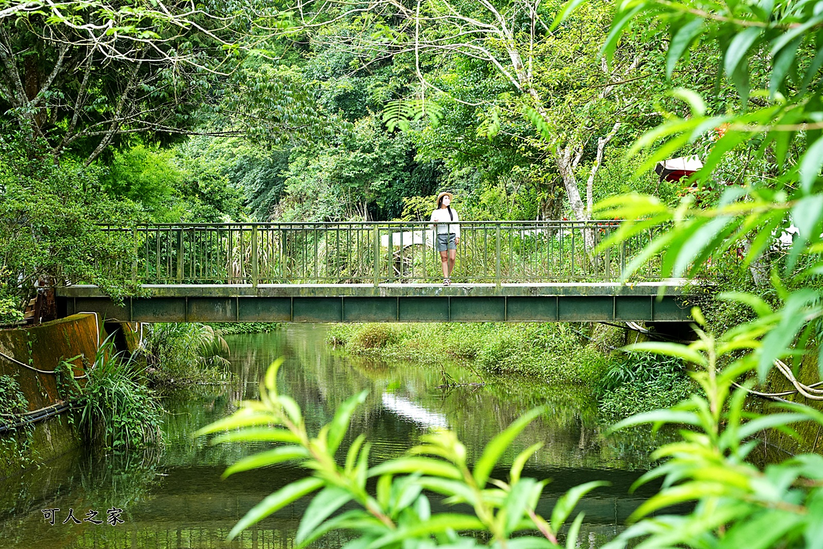 九芎公廟,九芎神木,免費吃泡麵,嘉南雲峰登山口,石壁風景區,雲林景點吃泡麵