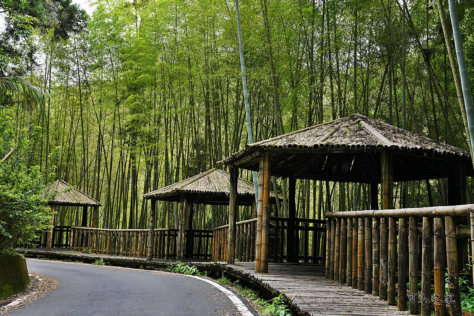 五元兩角,日本京都嵐山,石壁風景區,雲林古坑草嶺,雲林秘境