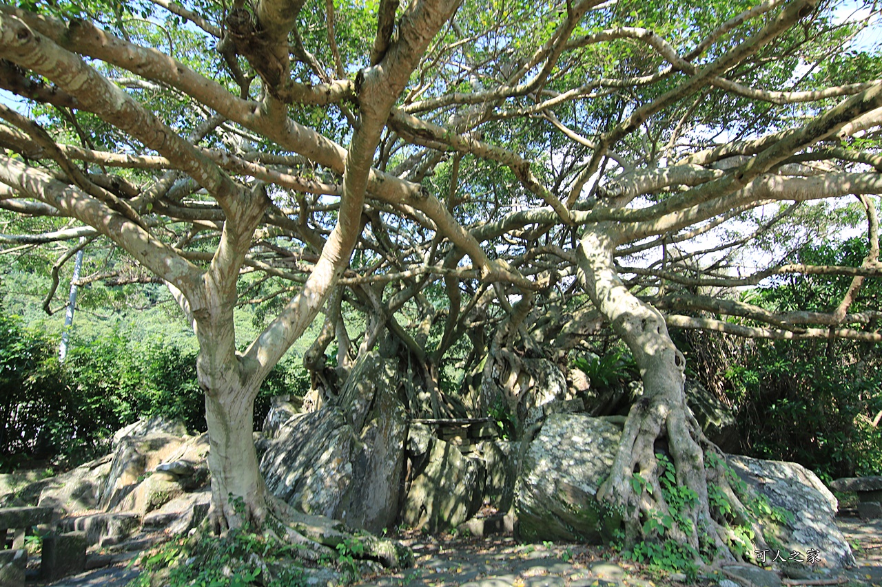 北關海潮公園,宜蘭景點,觀海步道