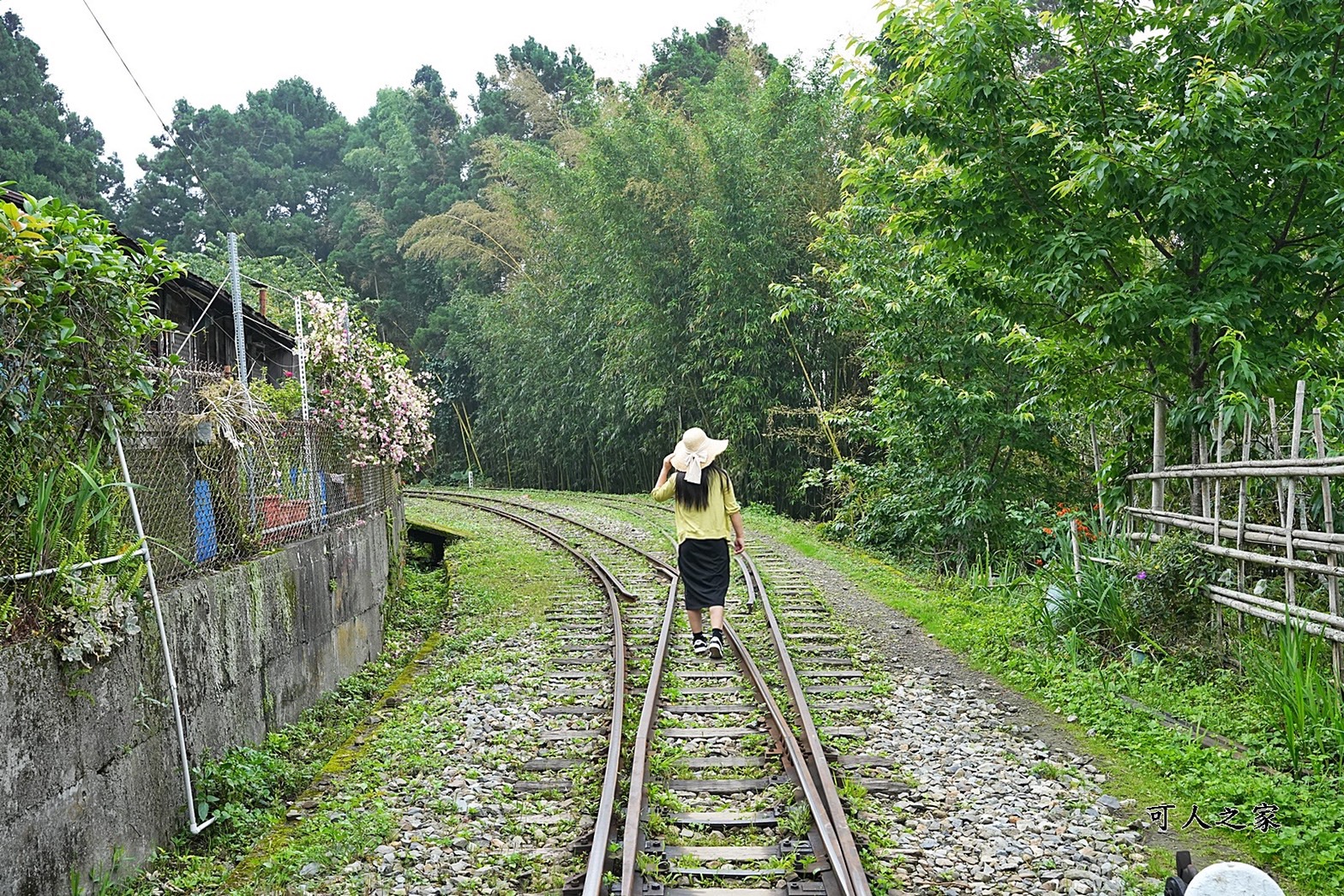 嘉義阿里山景點,多林火車站