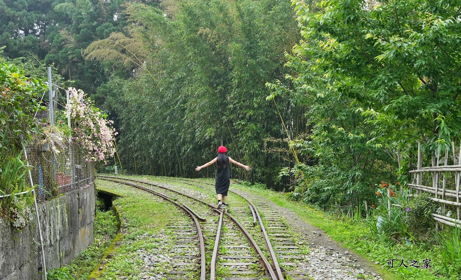 嘉義阿里山景點,多林火車站