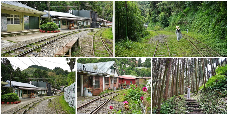 來吉古道,來吉步道,十字路車站,嘉義阿里山 @可人之家