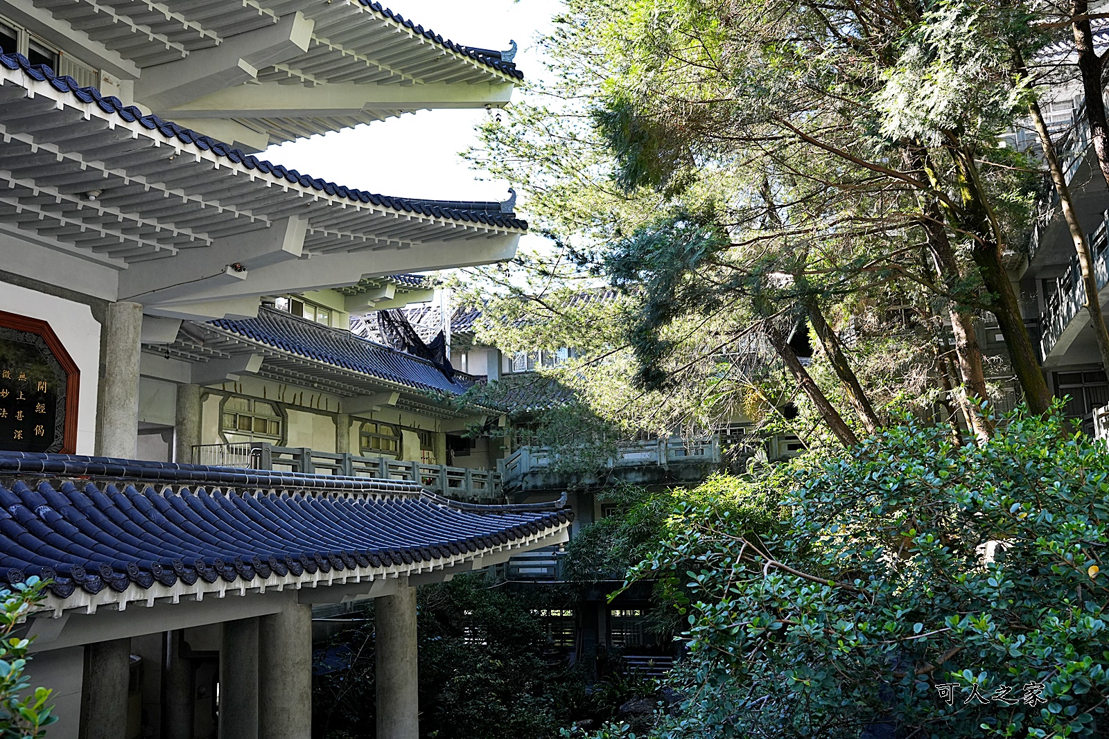 南投名間景點,欣賞國道3道,白毫禪寺,約會景點