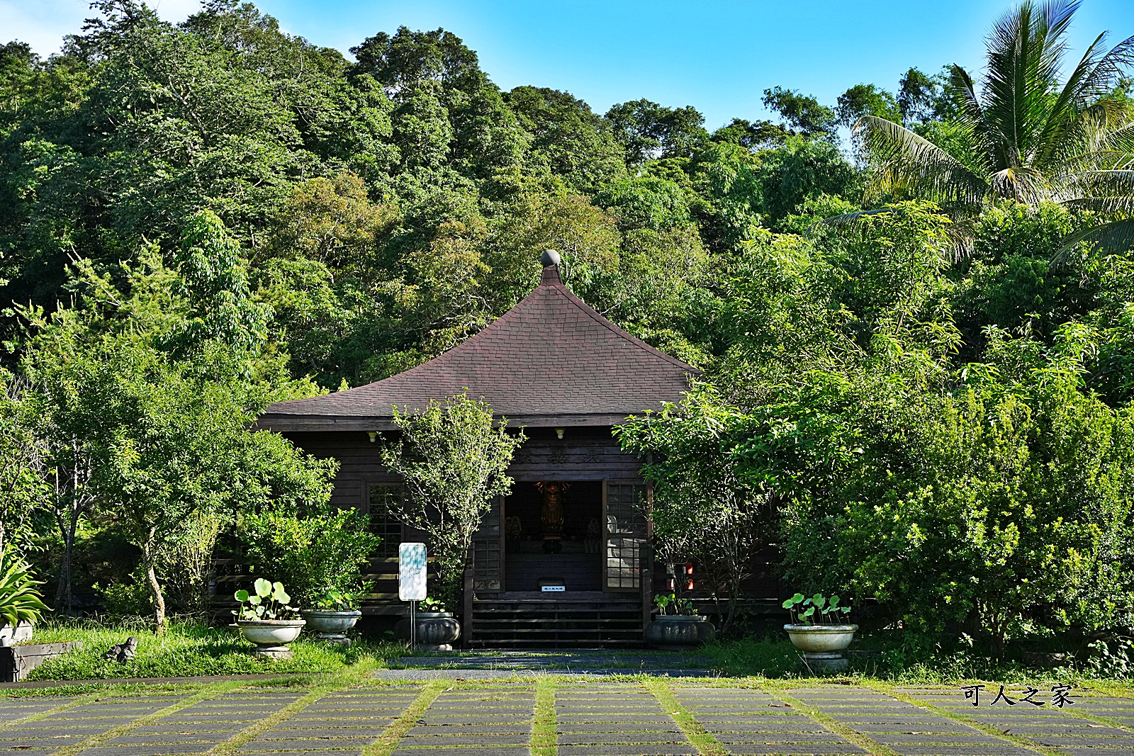 南投名間景點,欣賞國道3道,白毫禪寺,約會景點