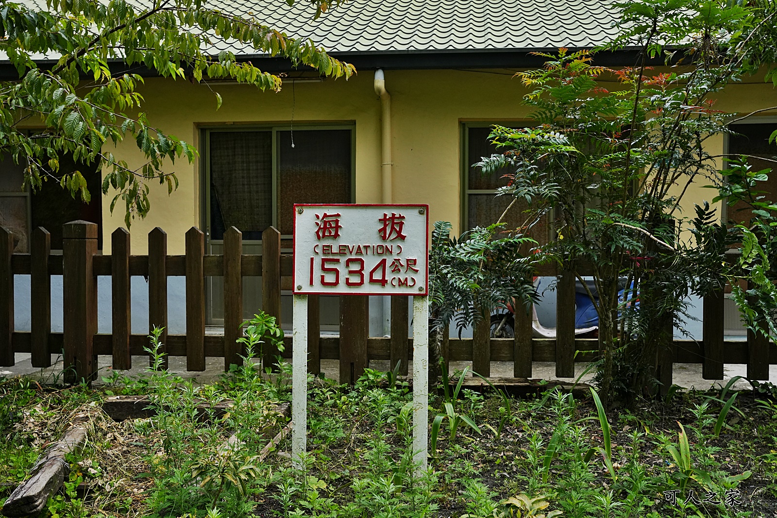 來吉古道,來吉步道,十字路車站,嘉義阿里山