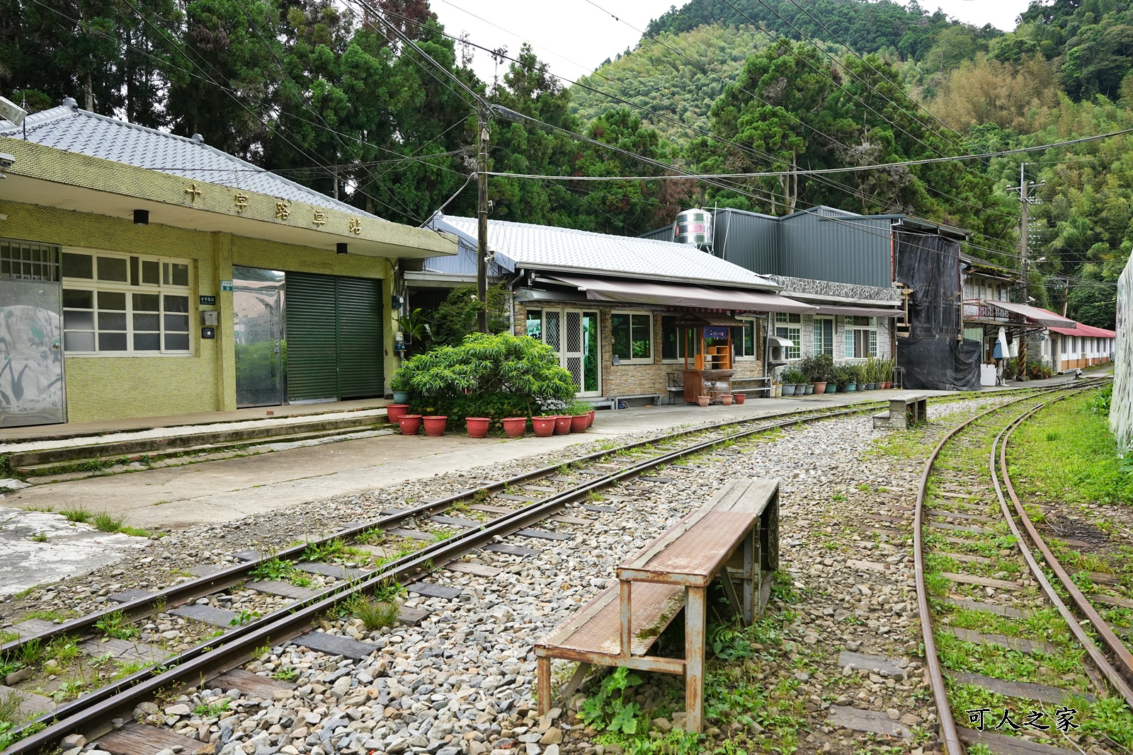 來吉古道,來吉步道,十字路車站,嘉義阿里山