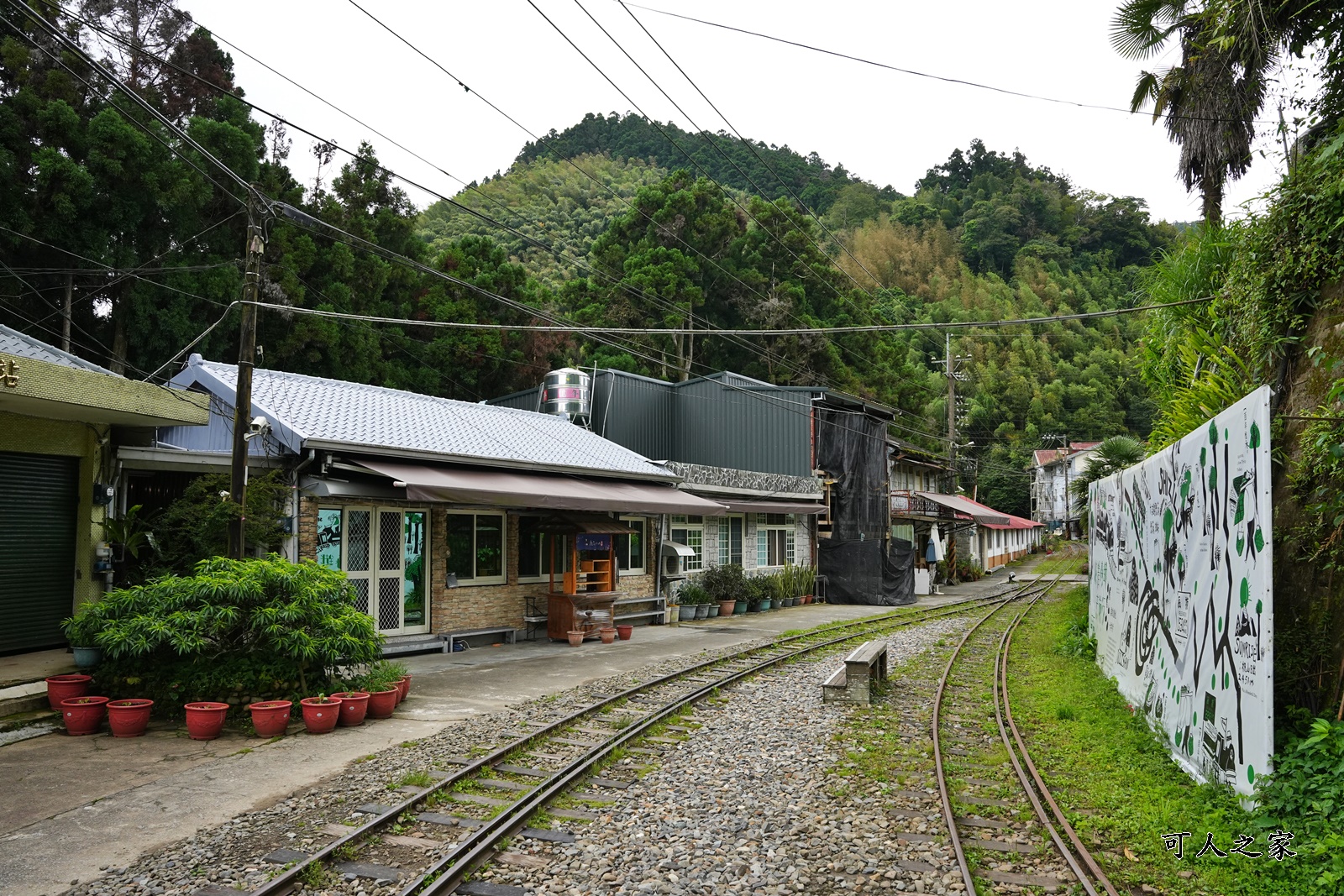 來吉古道,來吉步道,十字路車站,嘉義阿里山