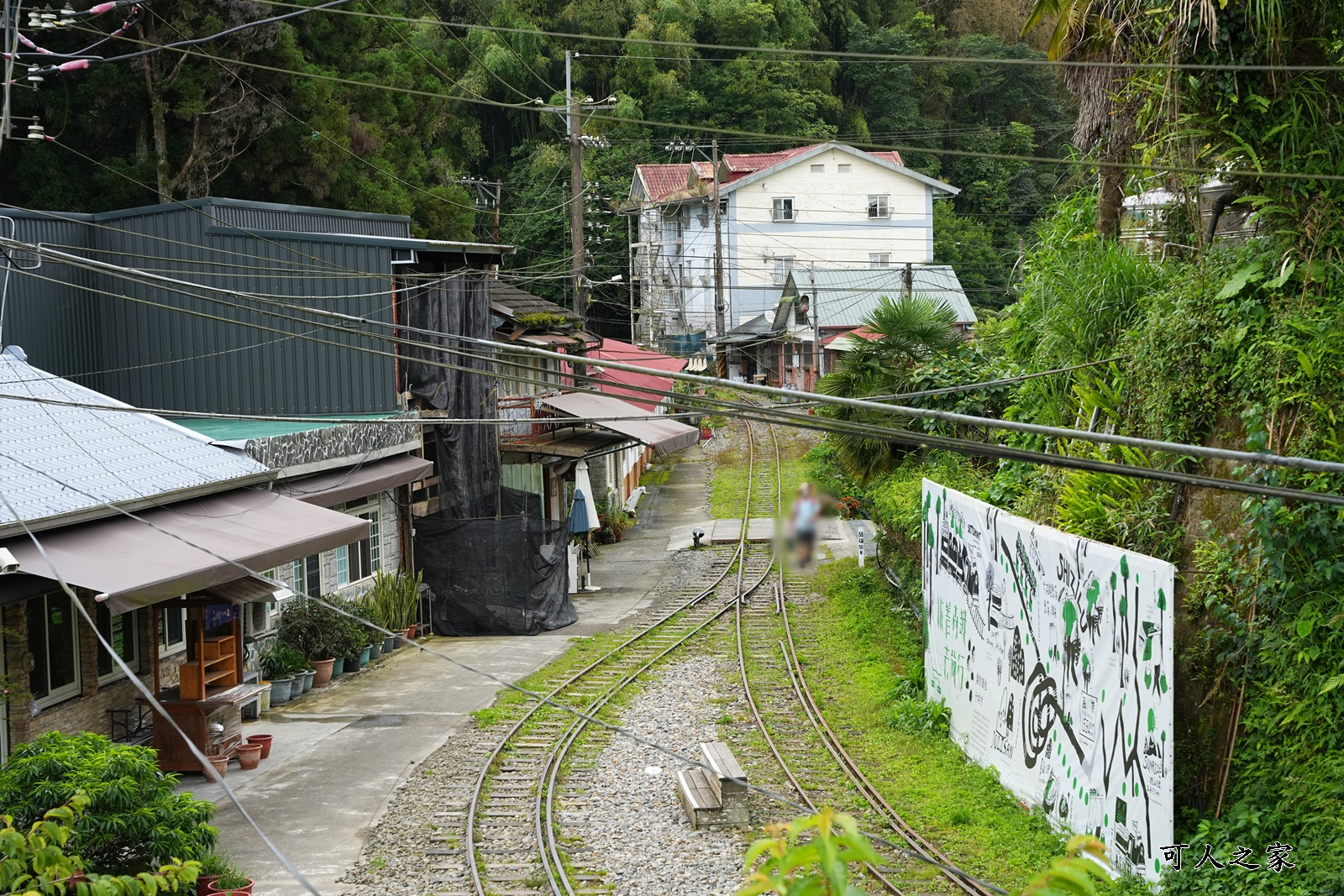 來吉古道,來吉步道,十字路車站,嘉義阿里山