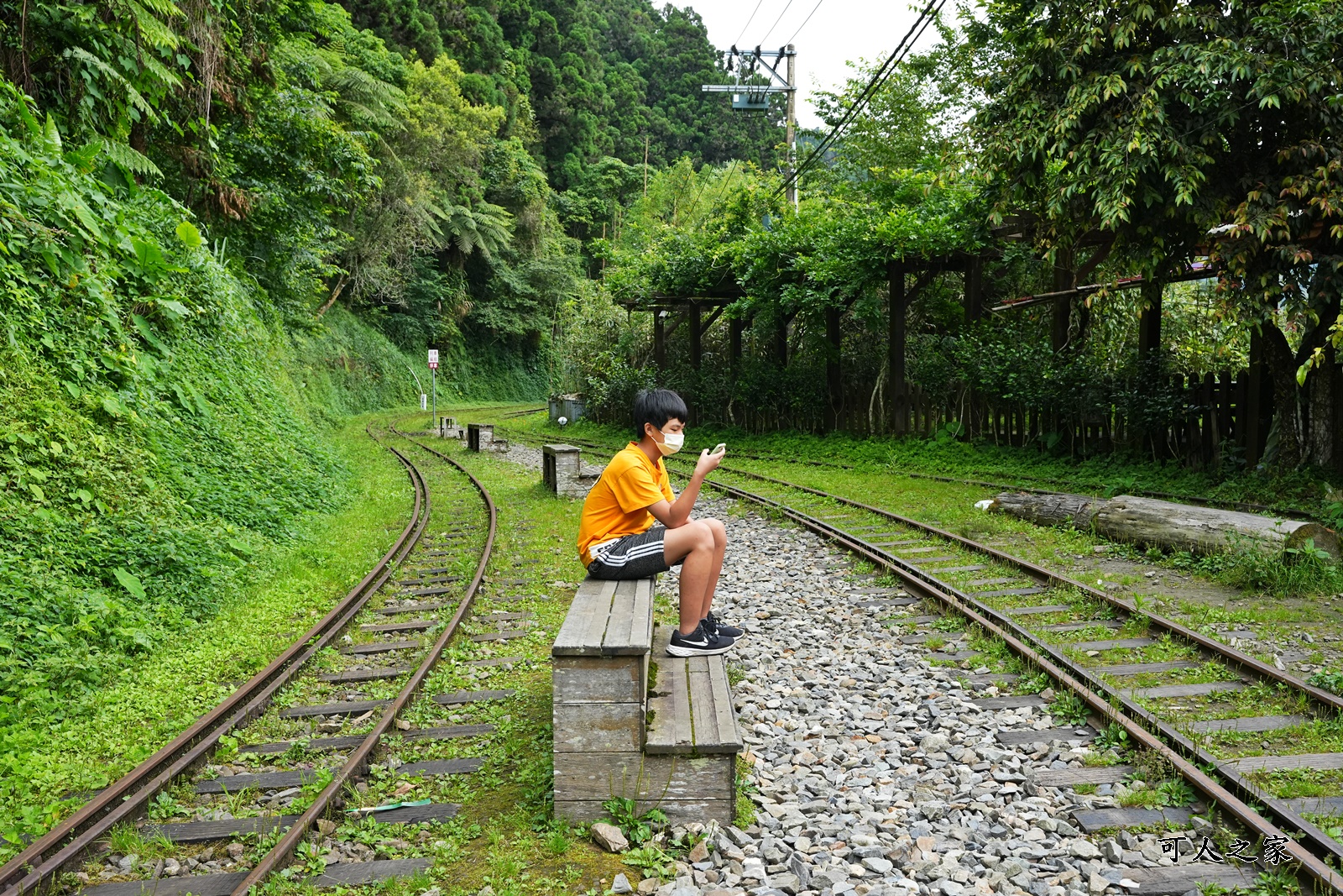 來吉古道,來吉步道,十字路車站,嘉義阿里山