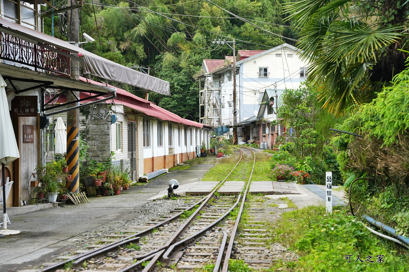 來吉古道,來吉步道,十字路車站,嘉義阿里山