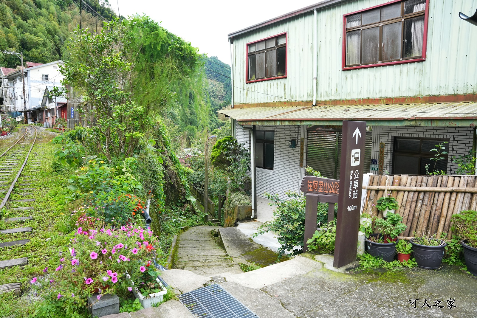 來吉古道,來吉步道,十字路車站,嘉義阿里山