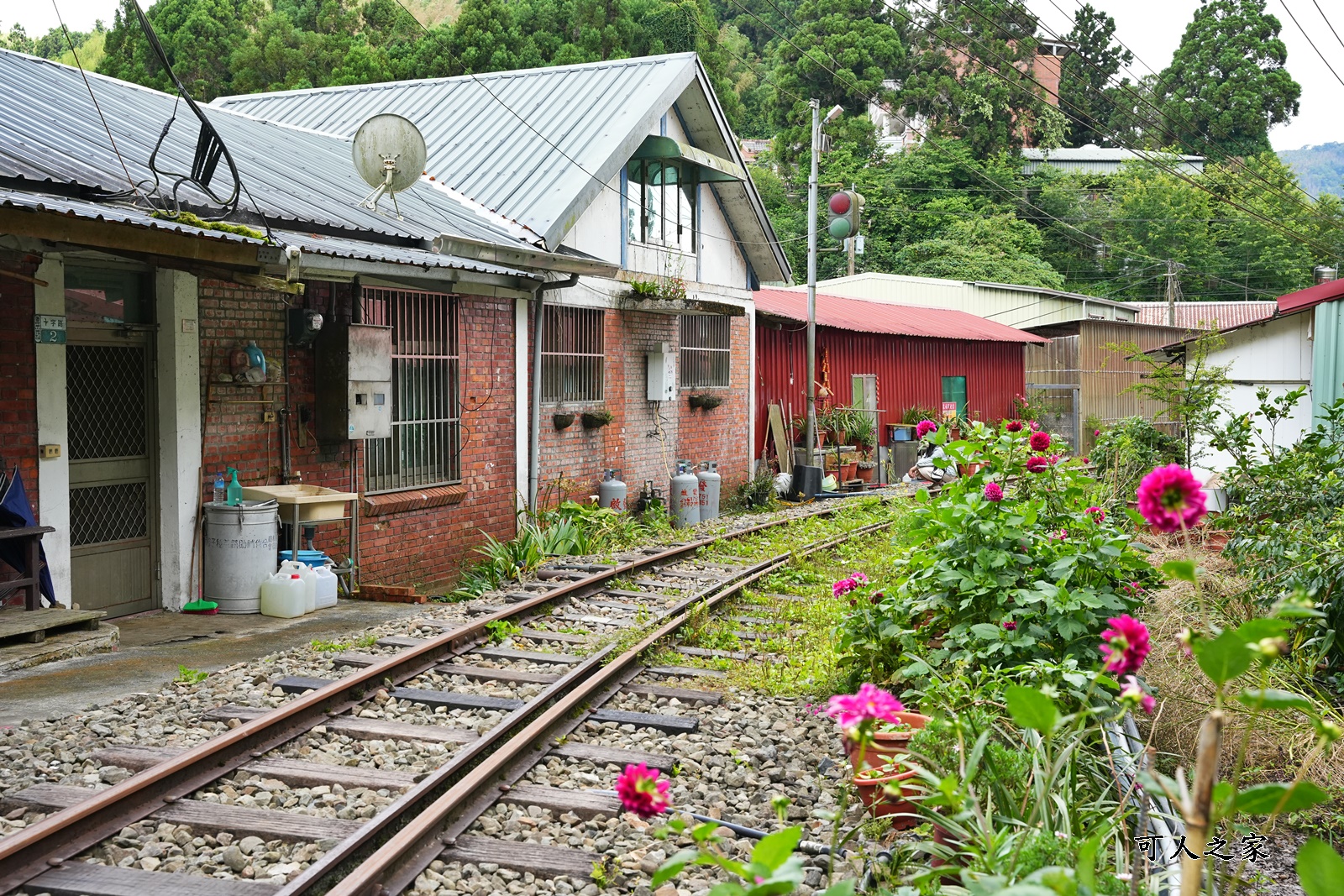 來吉古道,來吉步道,十字路車站,嘉義阿里山