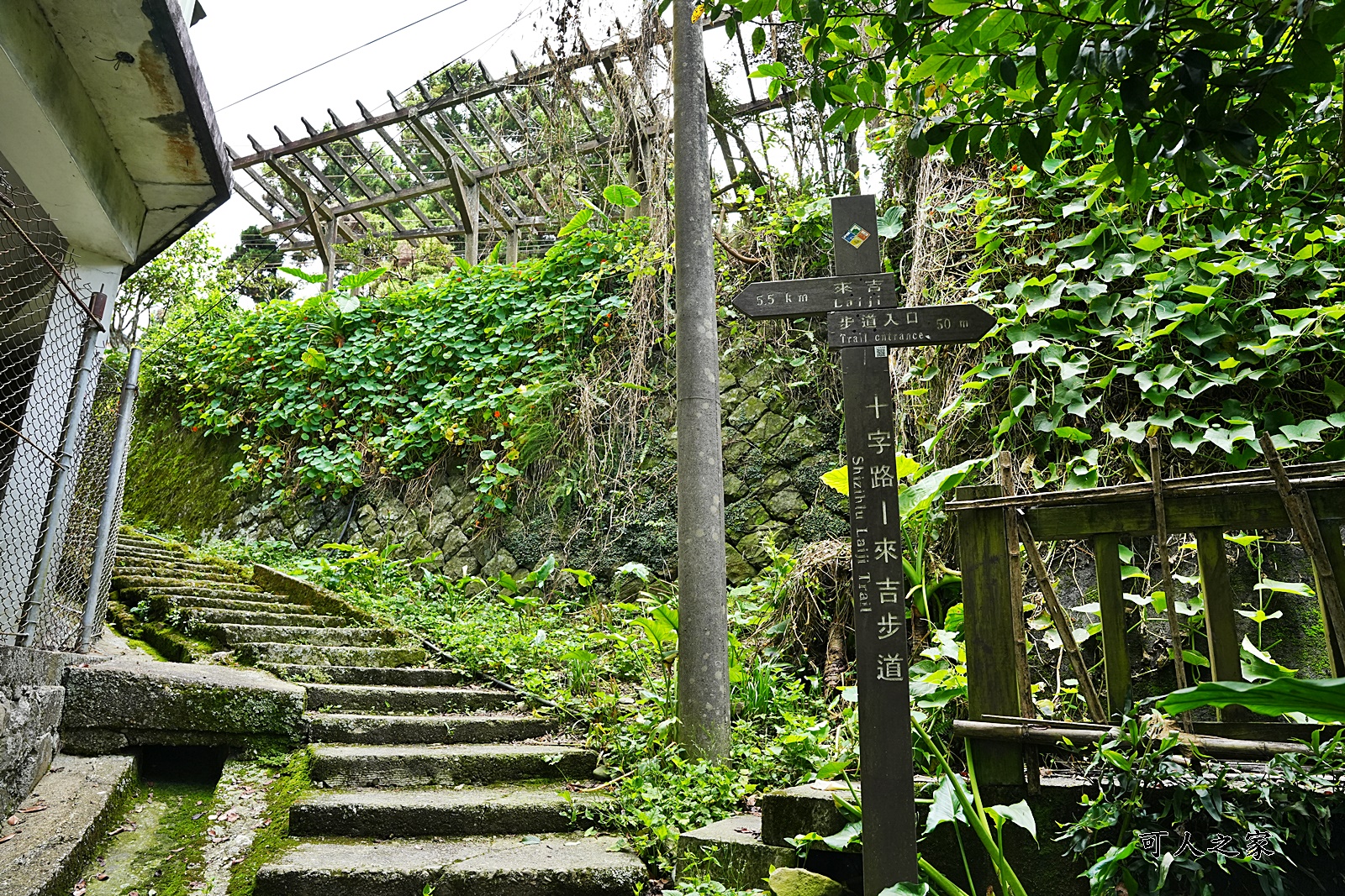 來吉古道,來吉步道,十字路車站,嘉義阿里山