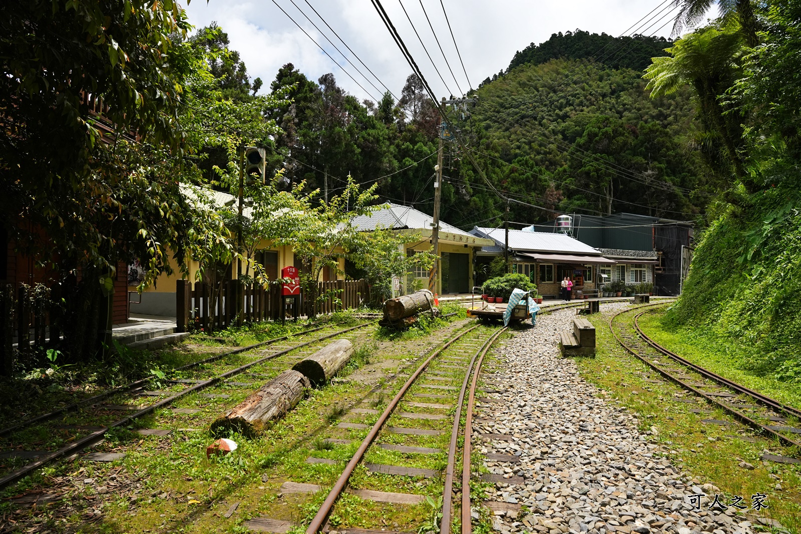 來吉古道,來吉步道,十字路車站,嘉義阿里山