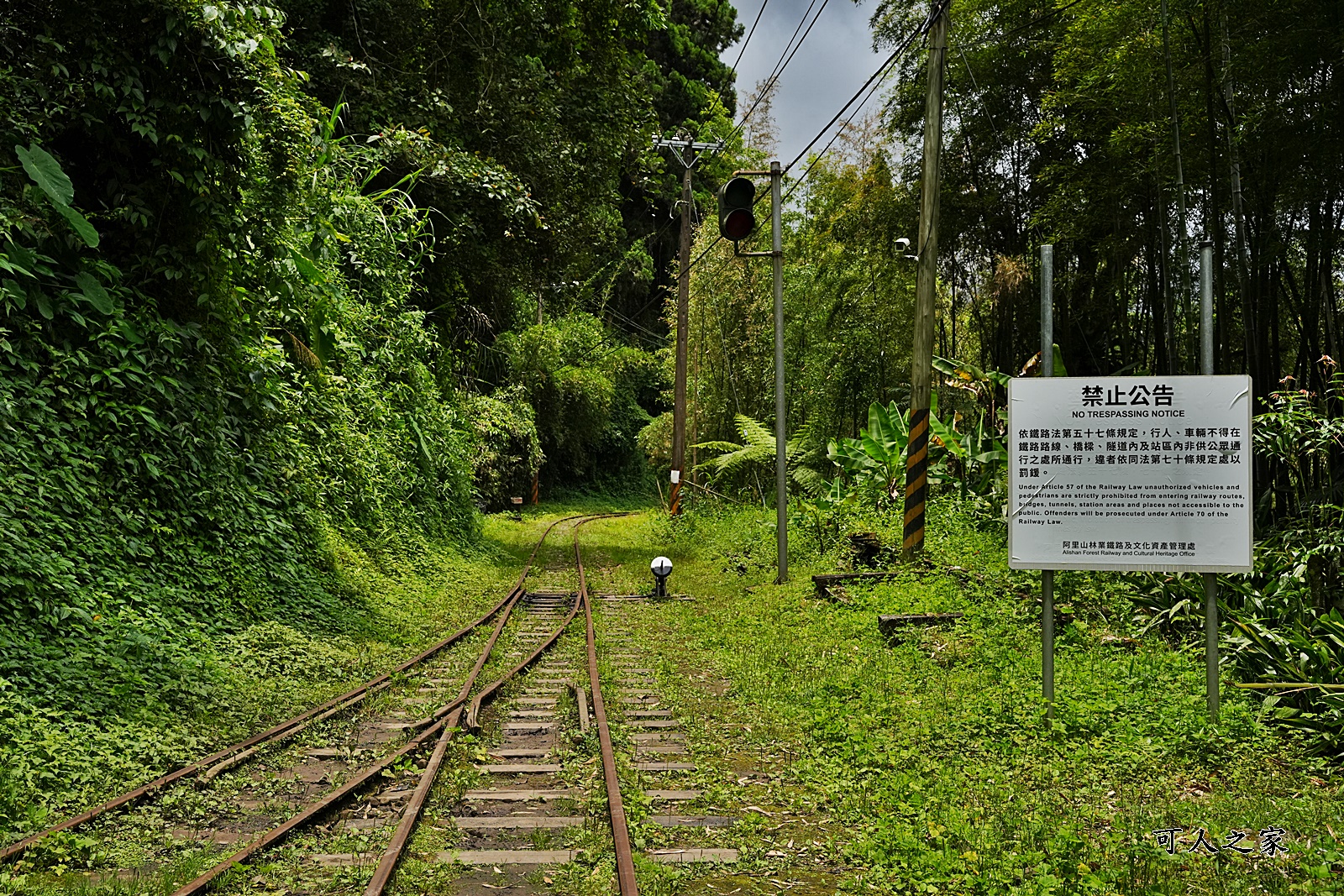 來吉古道,來吉步道,十字路車站,嘉義阿里山