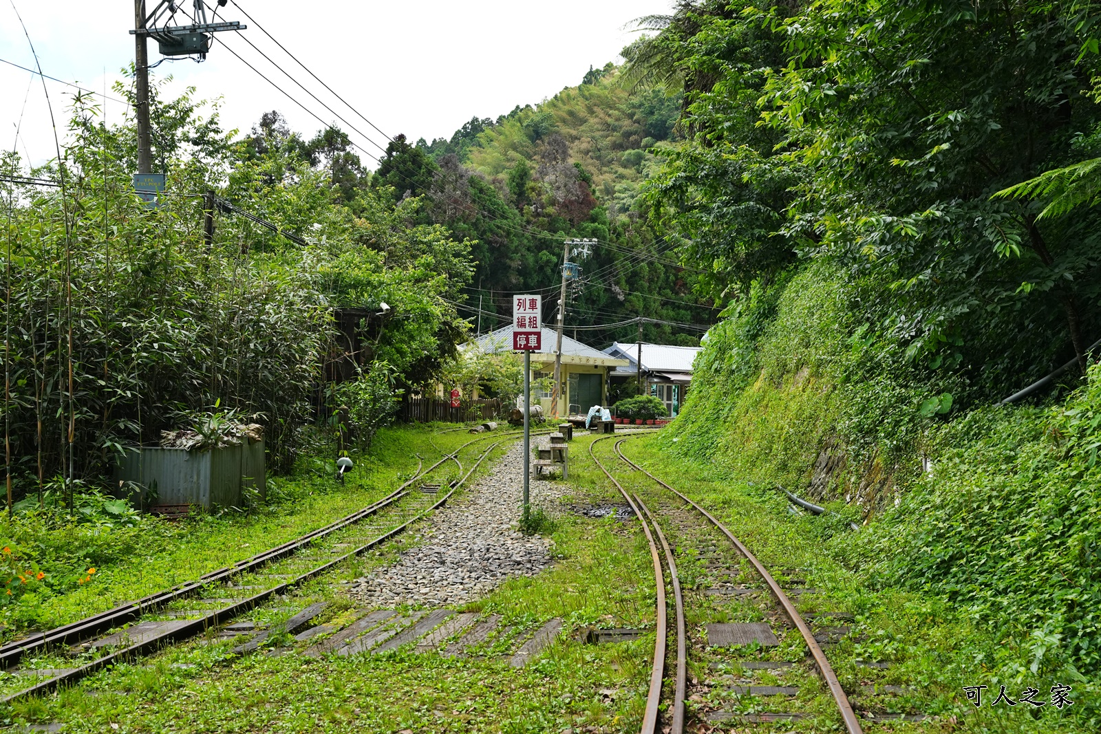 來吉古道,來吉步道,十字路車站,嘉義阿里山