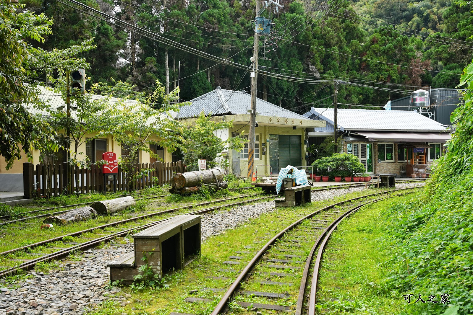 來吉古道,來吉步道,十字路車站,嘉義阿里山