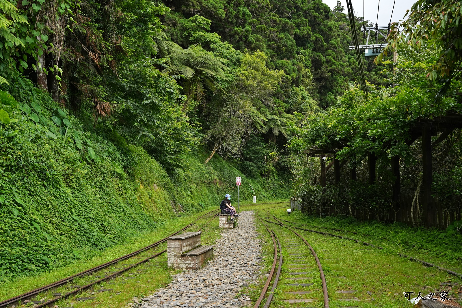 來吉古道,來吉步道,十字路車站,嘉義阿里山