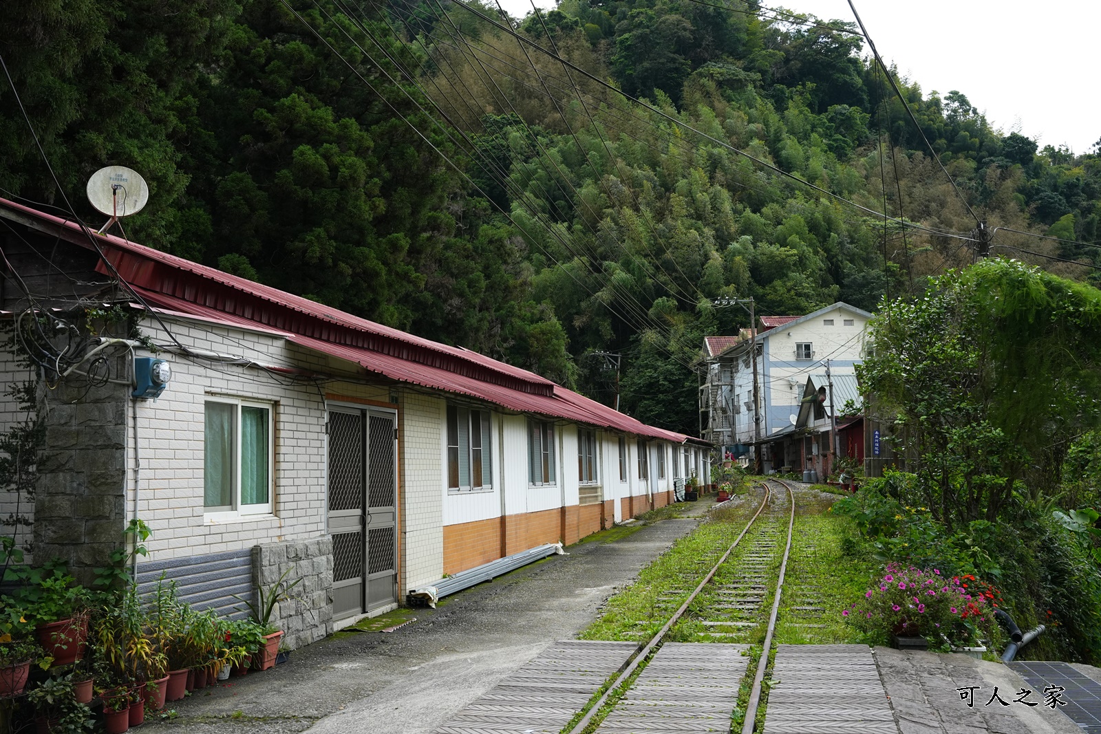 來吉古道,來吉步道,十字路車站,嘉義阿里山