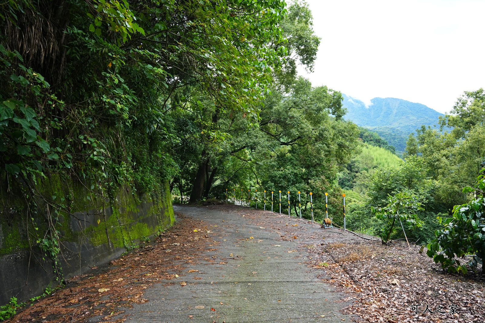 私房景點,草嶺十景,雲林古坑草嶺景點