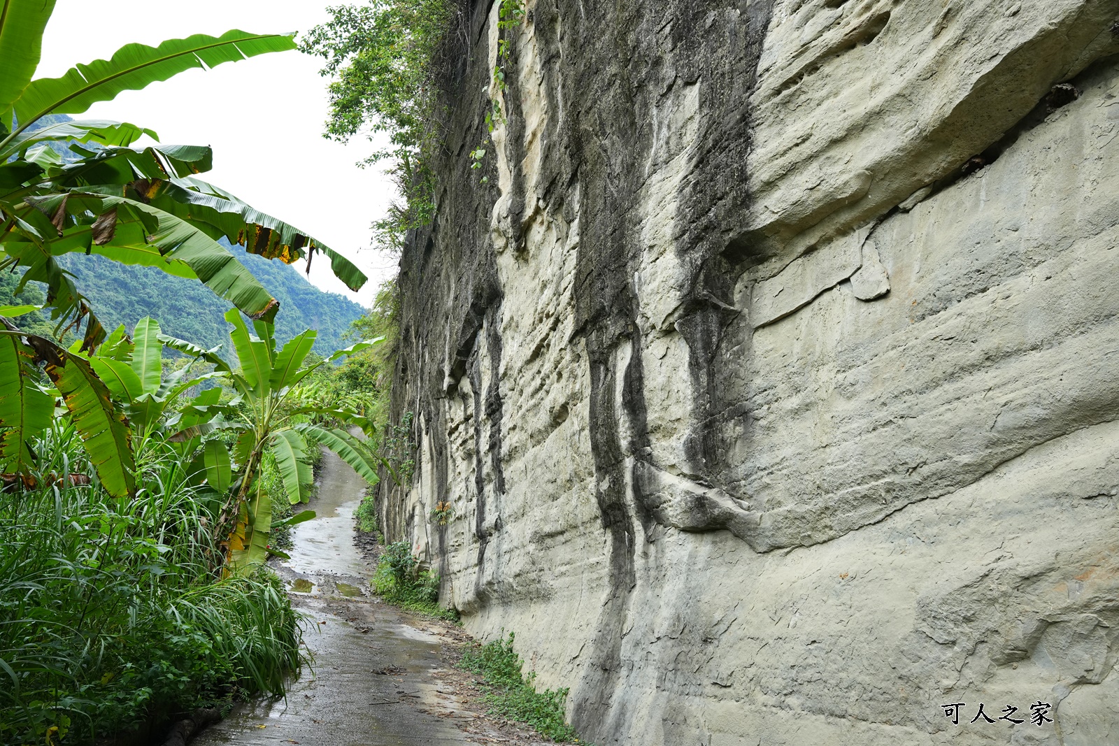 私房景點,草嶺十景,雲林古坑草嶺景點