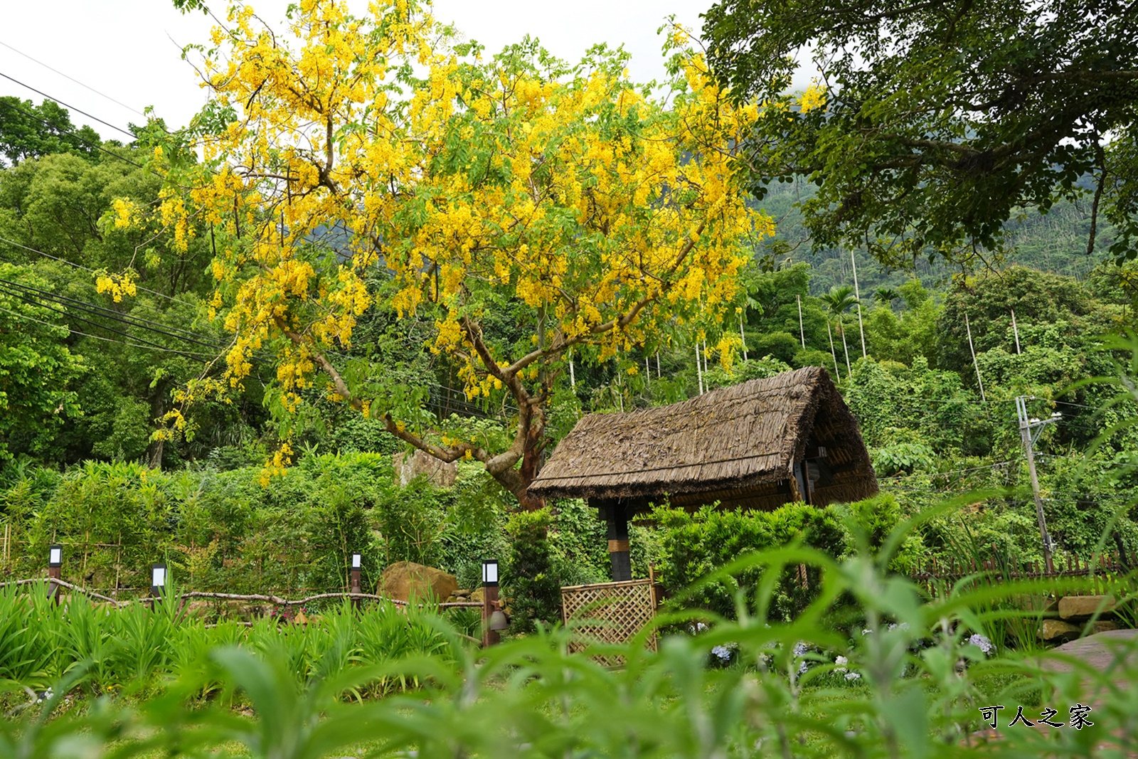 DSC04135 @可人之家 @可人之家