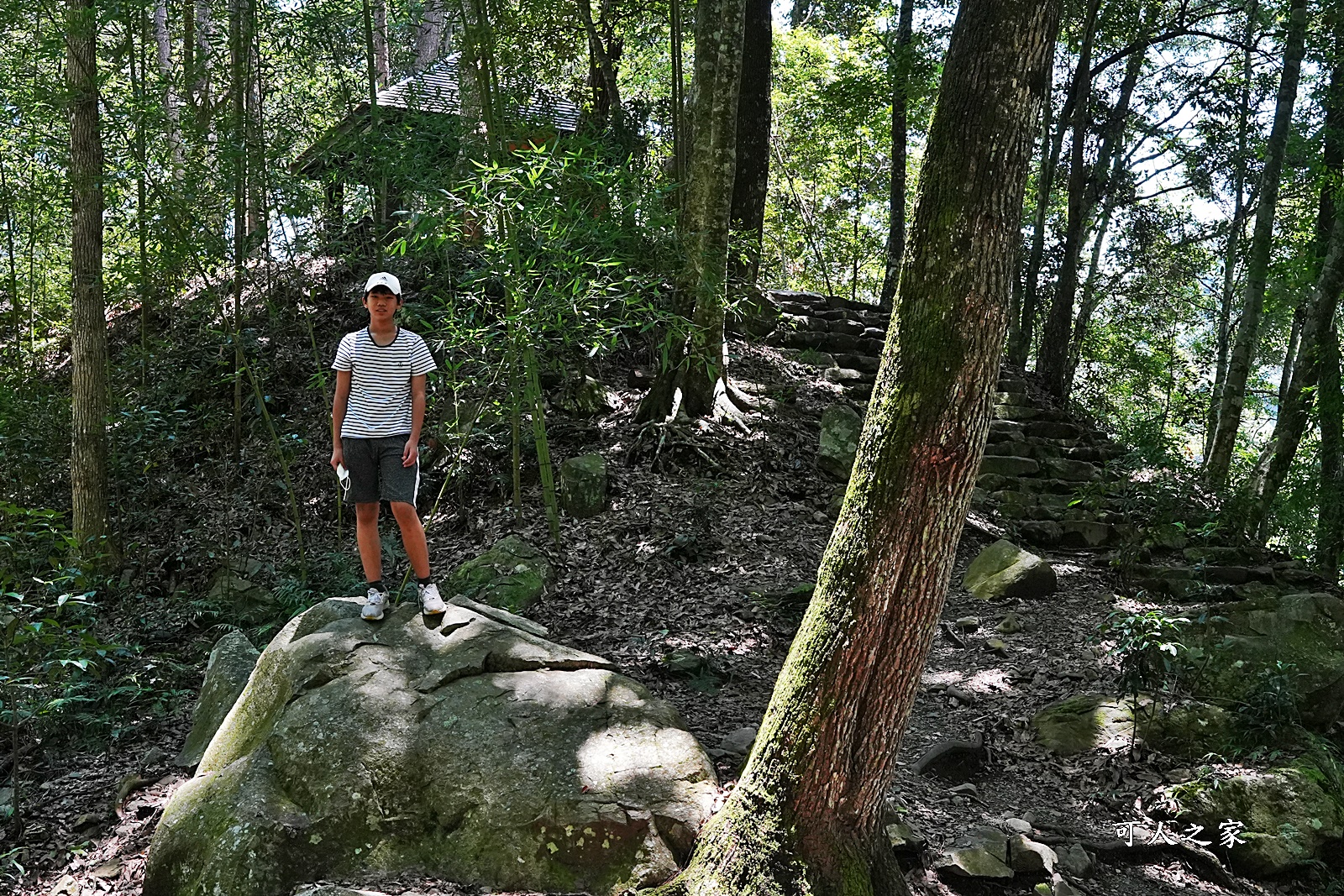 八仙山國家森林遊樂區,台保佳米意象站,景觀餐廳,看瀑布,親水區,觀瀑平台,靜海寺