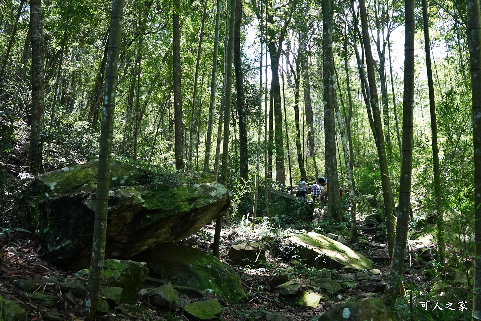 八仙山國家森林遊樂區,台保佳米意象站,景觀餐廳,看瀑布,親水區,觀瀑平台,靜海寺