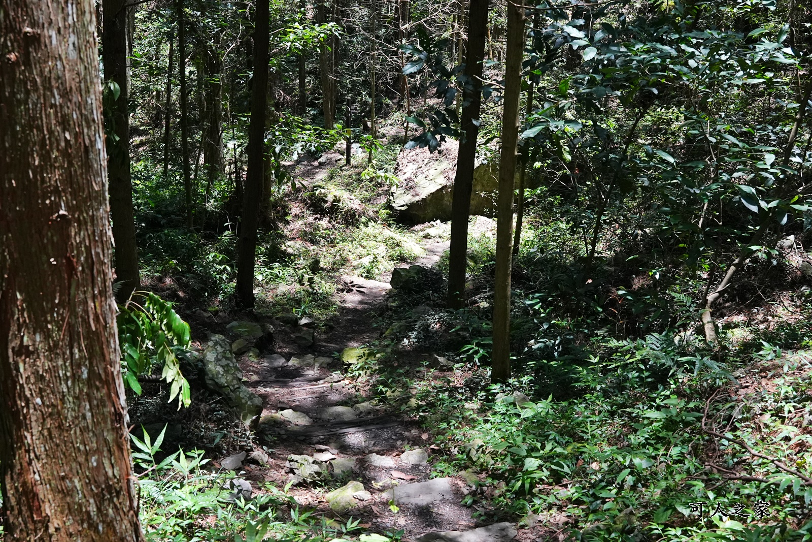 八仙山國家森林遊樂區,台保佳米意象站,景觀餐廳,看瀑布,親水區,觀瀑平台,靜海寺