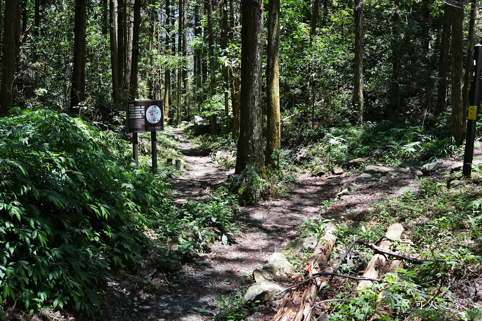 八仙山國家森林遊樂區,台保佳米意象站,景觀餐廳,看瀑布,親水區,觀瀑平台,靜海寺