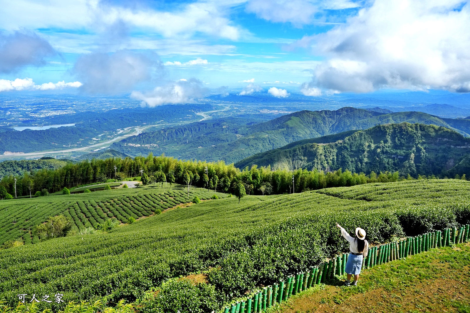 五元二角休憩綠廊,茶園,雲嶺之丘,雲林天空之城,雲林新地標,雲林景點,雲林石壁旅遊,雲林草嶺之旅,雲林賞夢宗竹 @可人之家