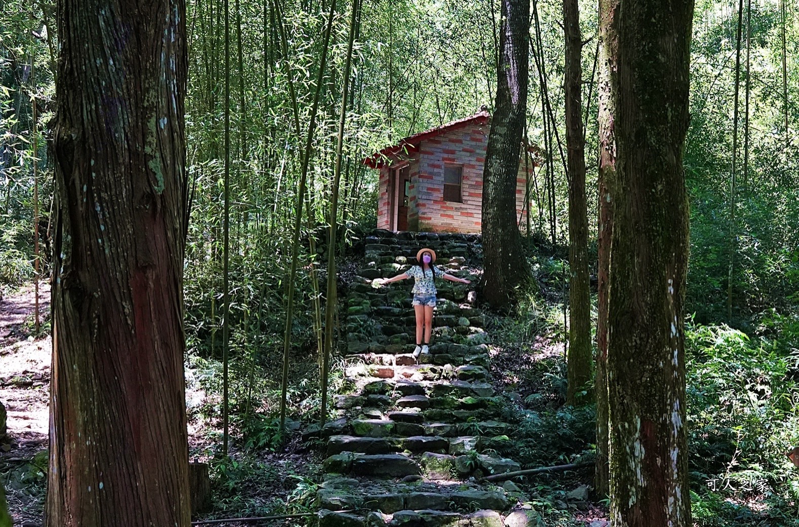 八仙山國家森林遊樂區,台保佳米意象站,景觀餐廳,看瀑布,親水區,觀瀑平台,靜海寺