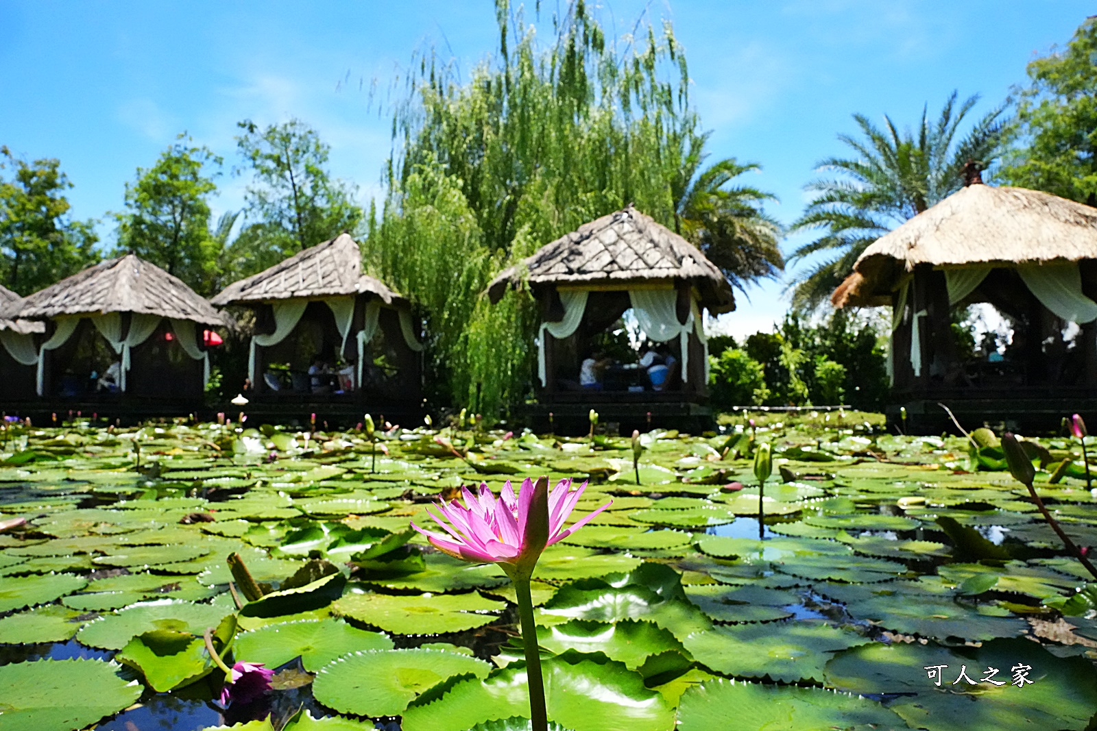 屏東人氣餐廳,屏東美食,景觀餐廳,水漾活蝦景觀餐廳,水漾活蝦菜單,泰國蝦料理