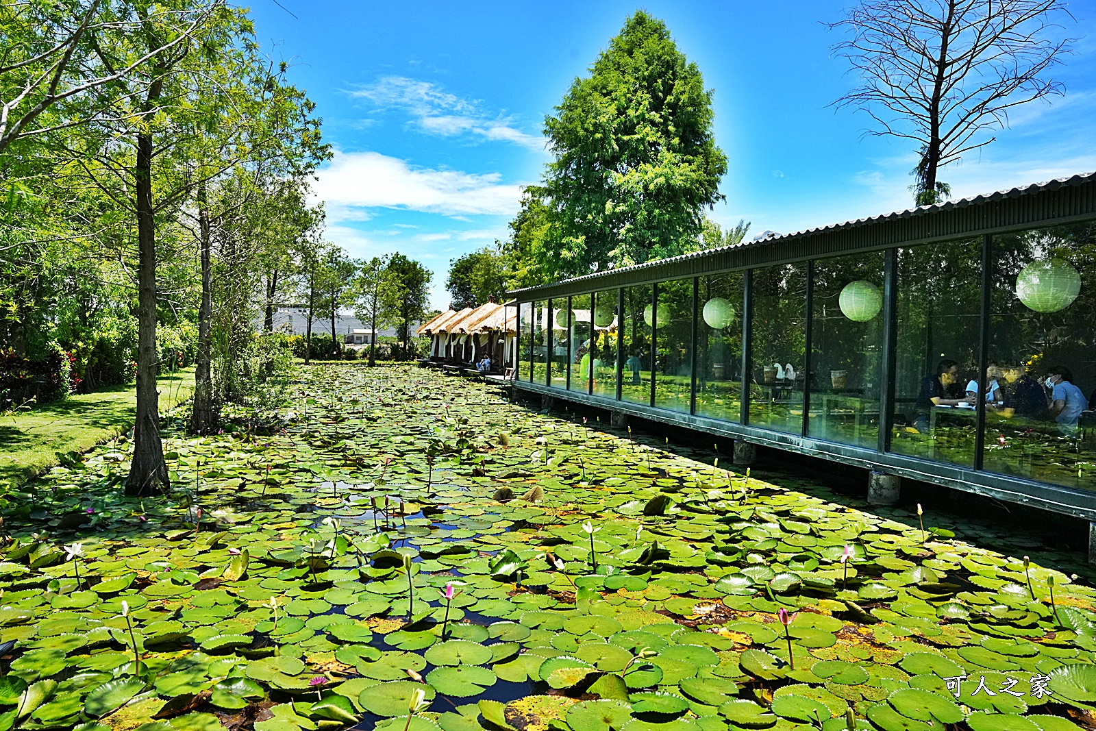 屏東人氣餐廳,屏東美食,景觀餐廳,水漾活蝦景觀餐廳,水漾活蝦菜單,泰國蝦料理 @可人之家