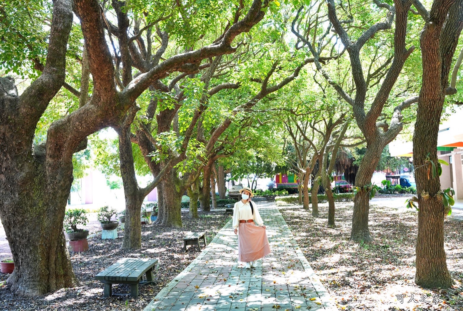 免費景點,親子遊景點,適合全家人地方,雲林一日遊路線,雲林景點,雲林水林景點,黃金蝙蝠生態館