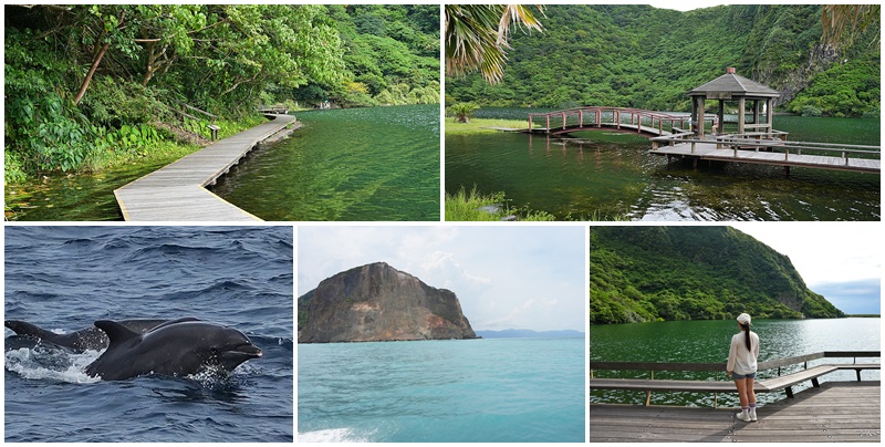 延伸閱讀：宜蘭頭城）北極星壹號登上龜山島 + 賞鯨 + 繞島.牛奶湖~預約資訊