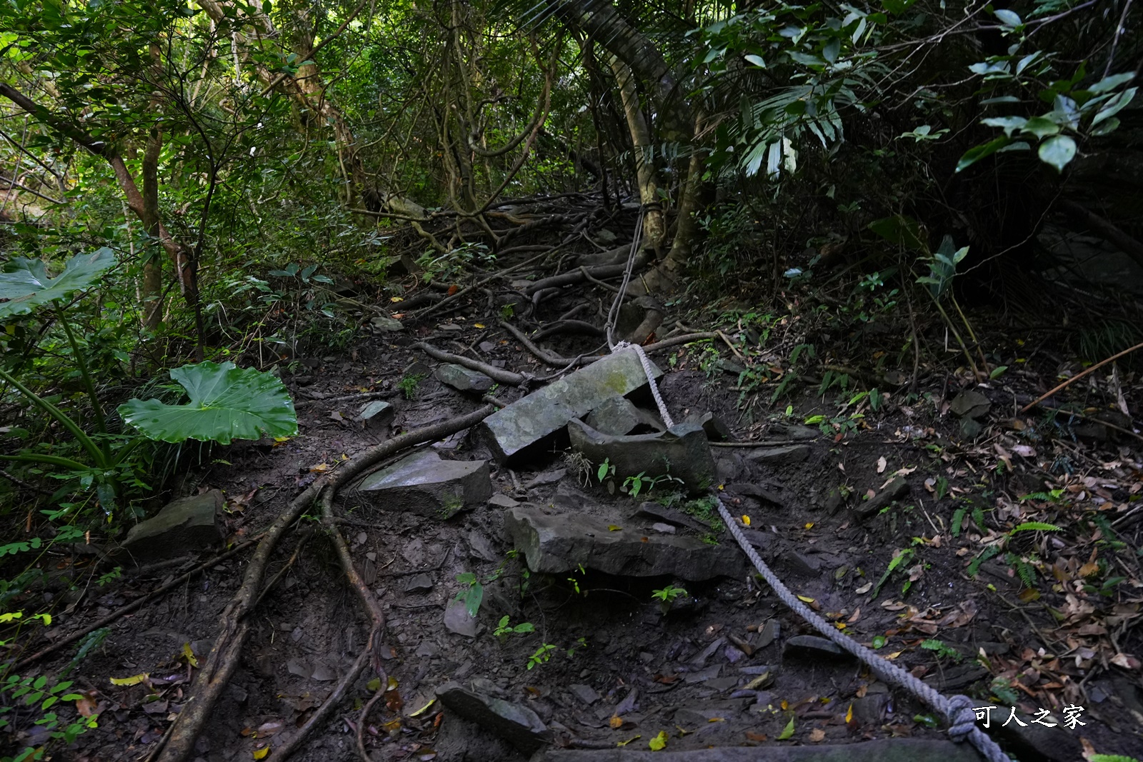 七孔瀑布停車場,七孔瀑布路好走嗎？,七孔瀑布路線,屏東景點