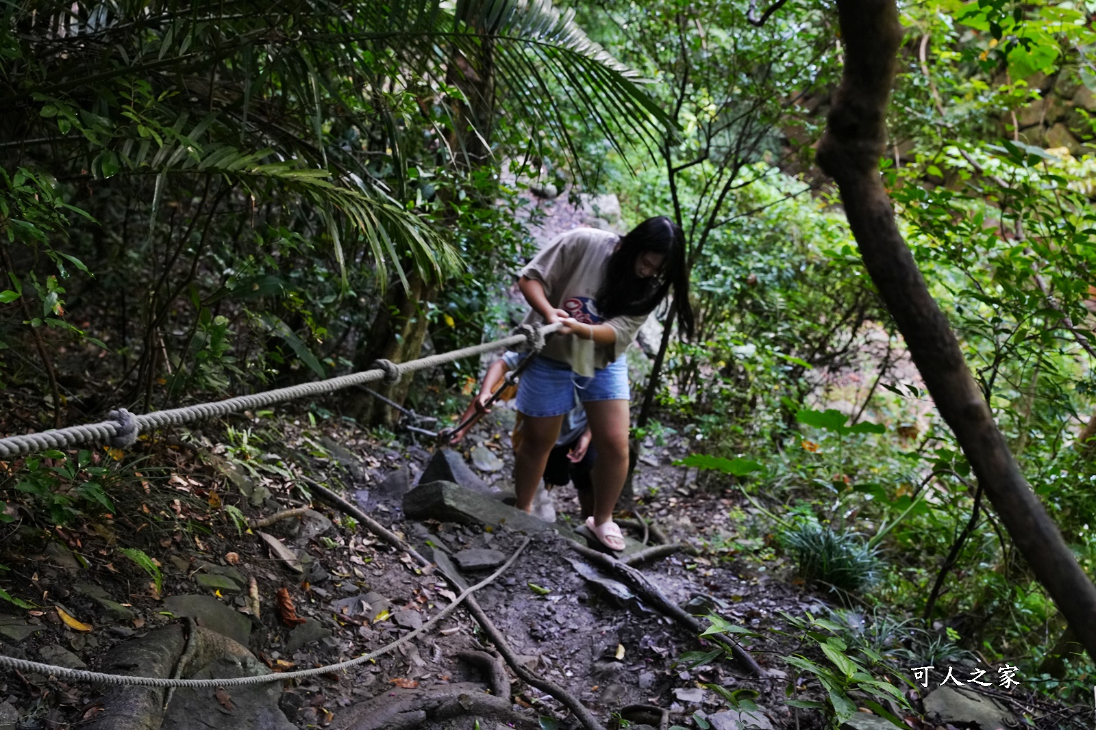 七孔瀑布停車場,七孔瀑布路好走嗎？,七孔瀑布路線,屏東景點