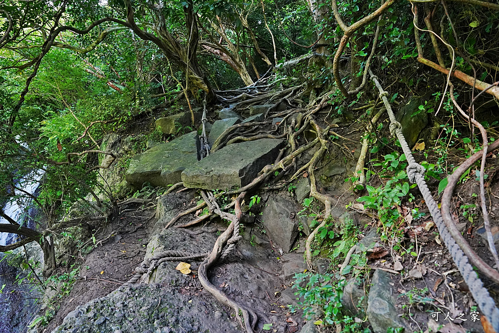 七孔瀑布停車場,七孔瀑布路好走嗎？,七孔瀑布路線,屏東景點