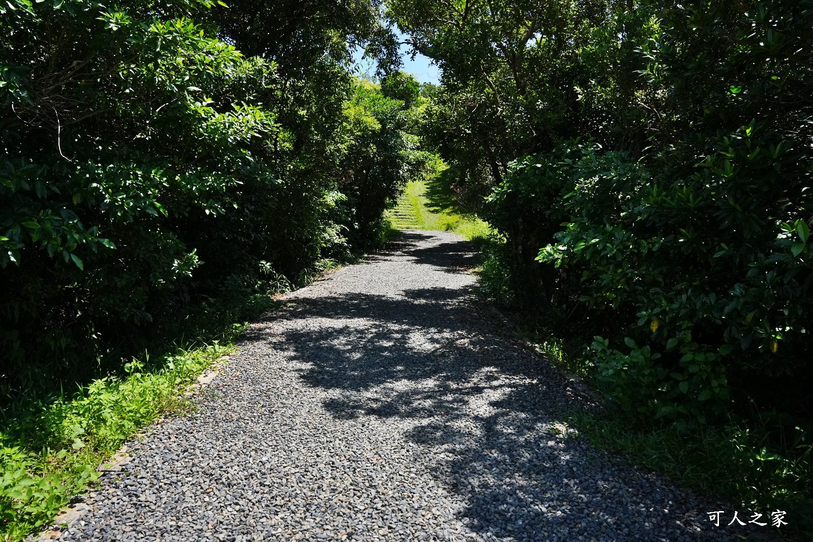 V型線山谷,旭海大草原,旭海景點