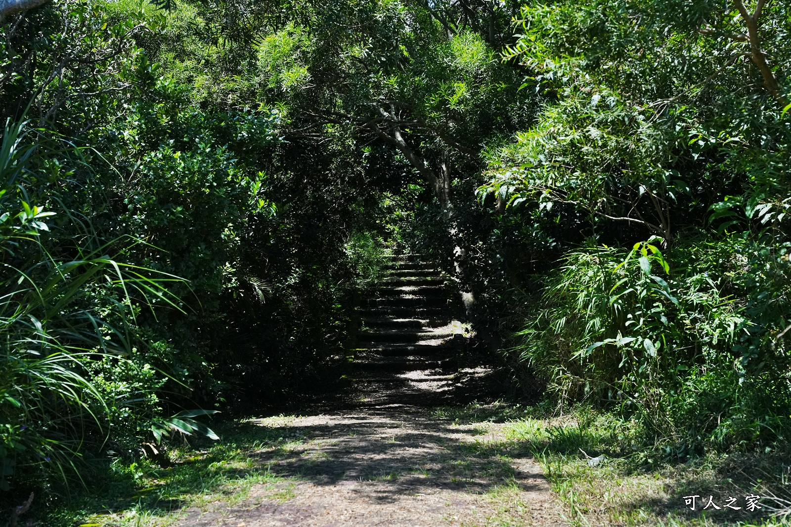 V型線山谷,旭海大草原,旭海景點