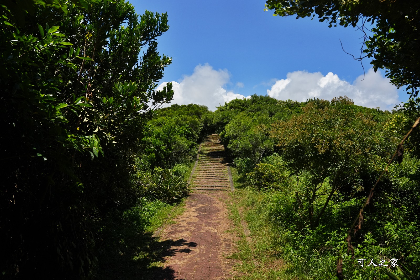 V型線山谷,旭海大草原,旭海景點